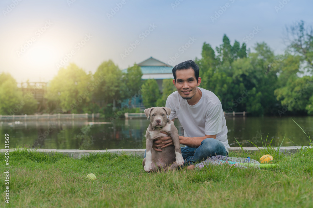 Pet lover man and American bully dog are playing