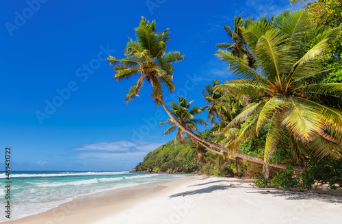 Paradise beach with coco palms and tropical sea in Caribbean island. Fashion travel and tropical beach concept. 