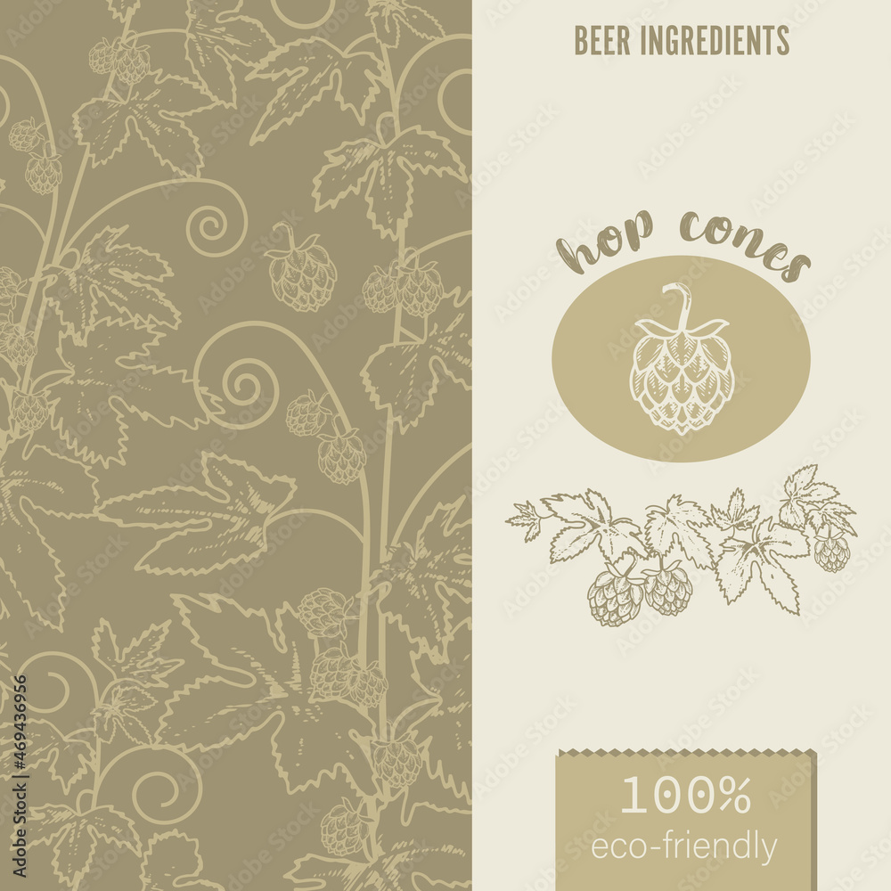 Background of hop branches. Template for the label of hop cones