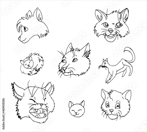Cats emotions in doodle style. Vector sketch illustration.