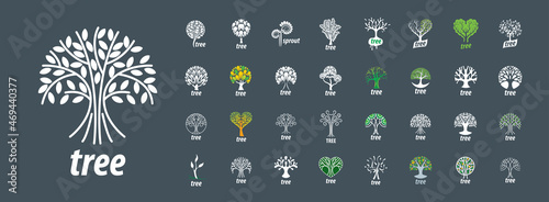 A set of vector logos with the image of a tree © butenkow