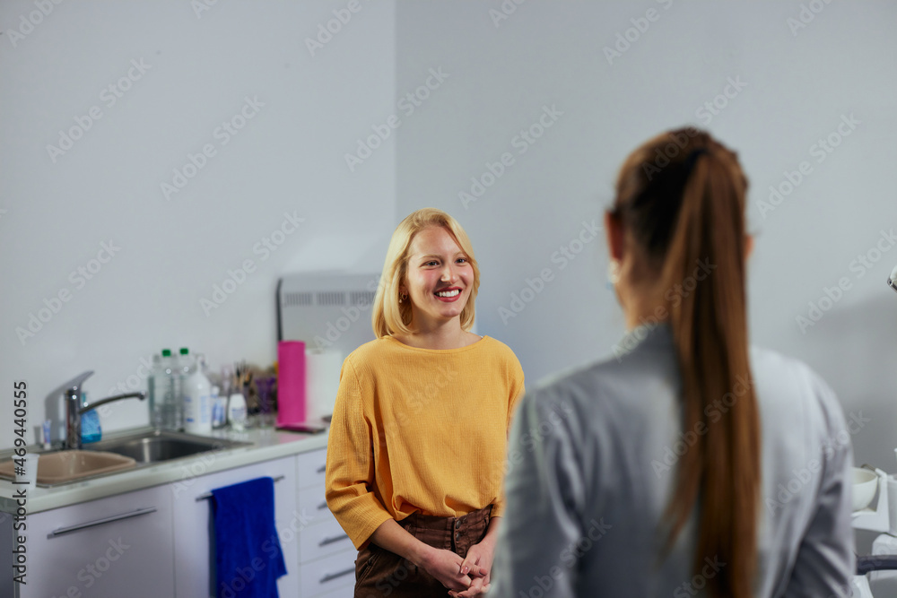 Obraz premium Patient having consultation with her dentist