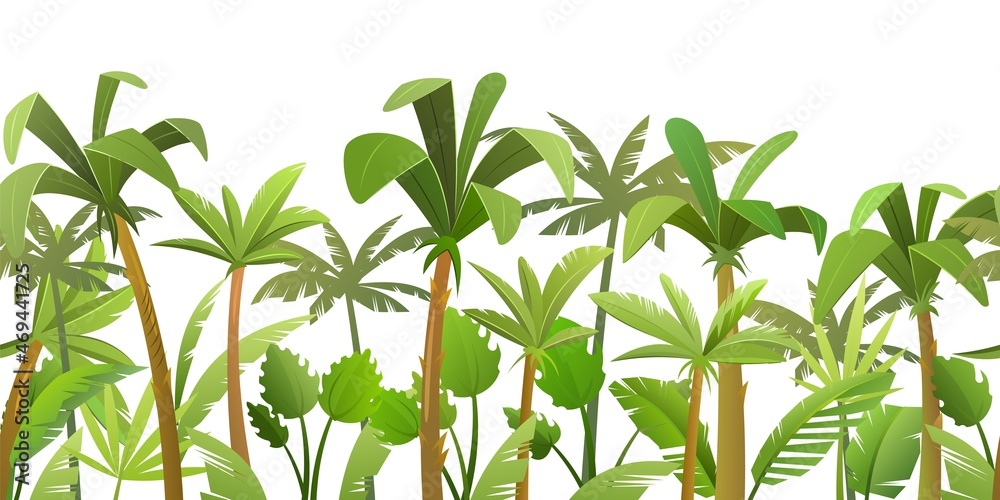 Obraz premium Rainforest background. Jungle trees. Isolated on white background. Cartoon fun style. Seamless landscape with palm tree vector.