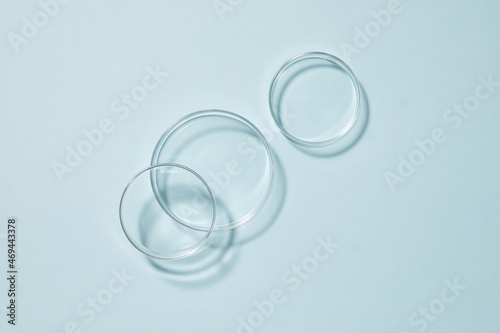 petri dishes on blue background 
