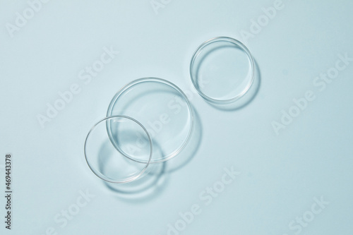 Photos petri dishes on blue background