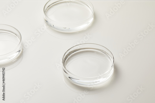 Petri dishes with water in grey white background