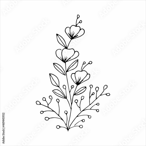 Hand-drawn flower single doodle element for coloring  invitation  postcard. Black and white vector image