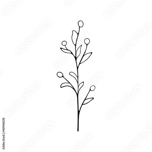A hand-drawn set of black sketches of isolated flowers and leaves on a white background. A vector description of a doodle of flowers and leaves. © Tnzal