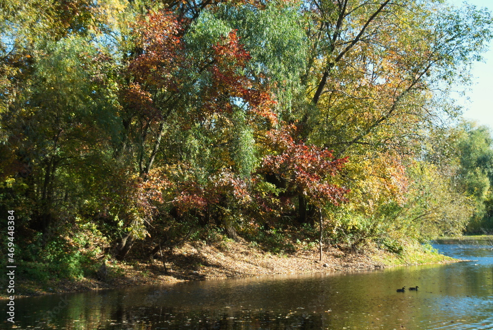 Color autumn river bank