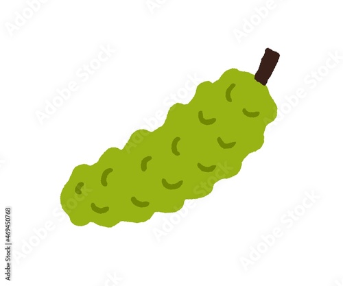 Momordica, exotic bitter fruit with bumps. Green fruto delicioso. Fresh tropi...