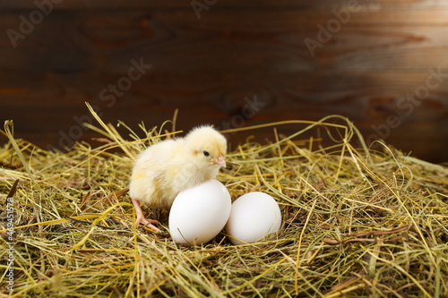 small chick is on the hay with eggs 
 on a rustic wooden background.