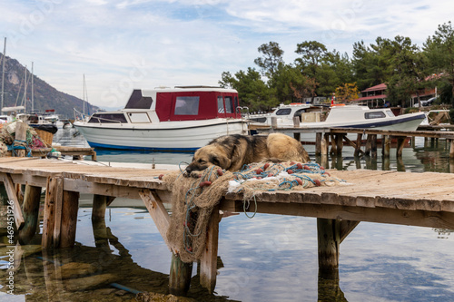 View of Akbuk Bay Gokova, Mugla photo