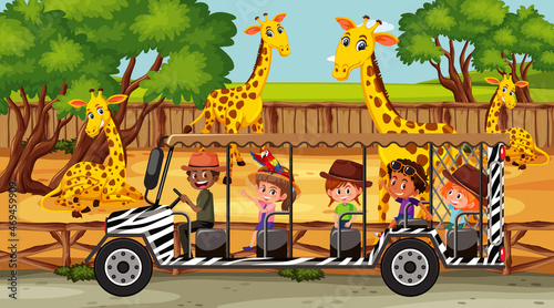 Safari scene with many giraffes and kids on tourist car