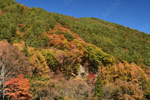 Autumn mountains with colorful trees against blue Sky.