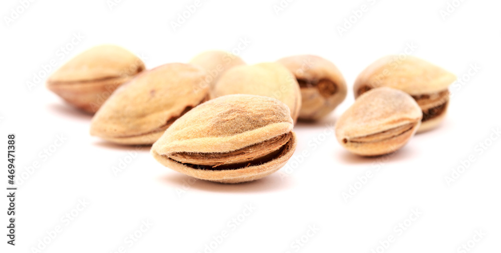 Obraz premium Horticulture of Gran Canaria - ripe almond nuts still in the outer soft shell, picked directly from the trees 