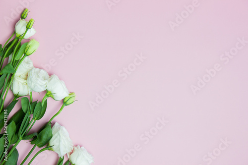 White roses with copy space over pink background. © aradaphotography