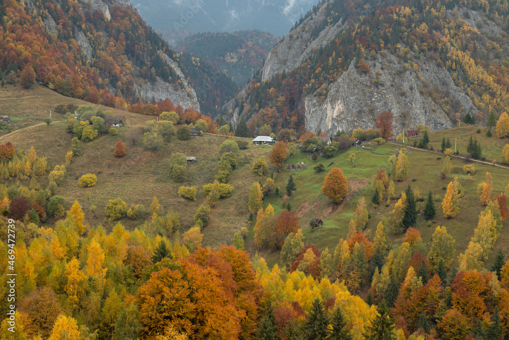Mountain rural landscape with autumn colors In Brasov county, Romania