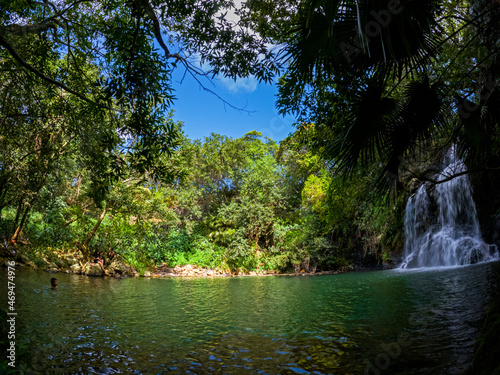 View of a waterfall hidden in a forest located in Mauritius