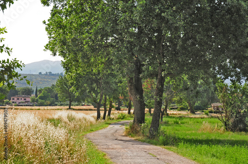 La campagna umbra a Spello, antico borgo dell'Umbria