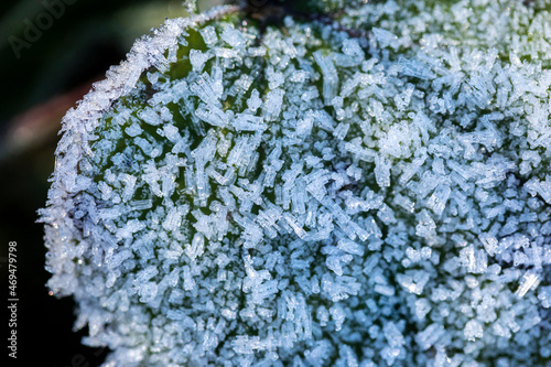 Beautiful frost on the grass