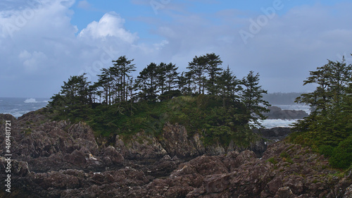 Green trees growing on rugged rocks on the coast viewed from Wild Pacific Trail in Ucluelet on Vancouver Island, British Columbia, Canada.