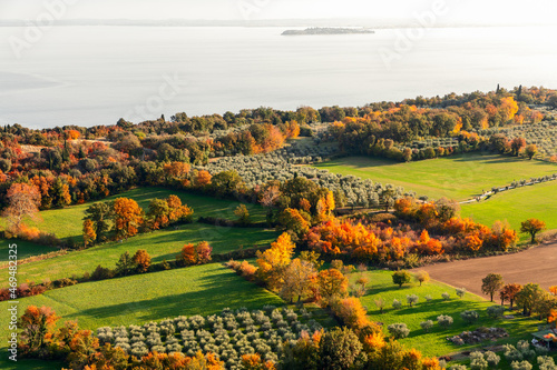 Gardens and olive groves on the shores of lake Garda in autumn season