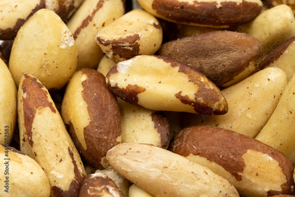 Close-up brazil nut. food background. Snack fresh nuts. close-up Close-up brazil nut. food background. Snack fresh nuts. close-up