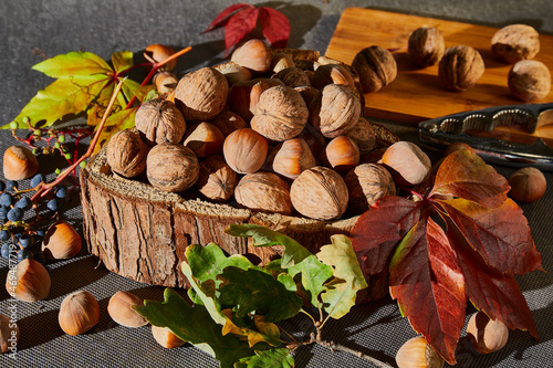 Still-life. Forest fruits. Walnuts, hazelnuts, berries, autumn leaves.