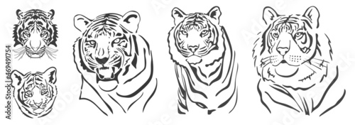 Set of Tigers silhouettes. chinees tiger. 2022. Vector photo