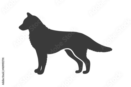 Husky silhouette. Siberian northern race dog, art vector icon