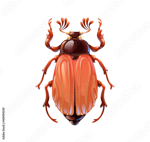 Cockchafer, bug in cartoon style on white