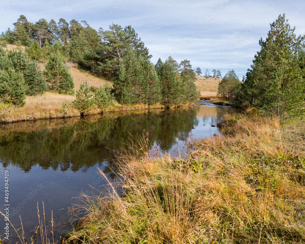 The Crni Rzav stream in the valley in Vodice on the Zlatibor mountain in Serbia