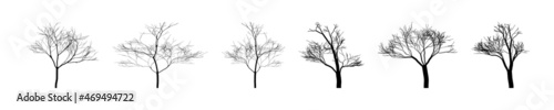 Winter trees collection. Silhouettes bare trees. Winter trees nature template. Clipart. Vector illustration © smile3377