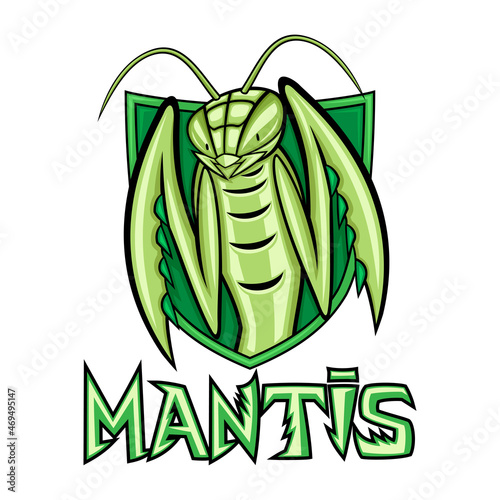 Green insect mantis and shield on white background.