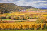 Die Pfalz im Herbst, Aussicht
