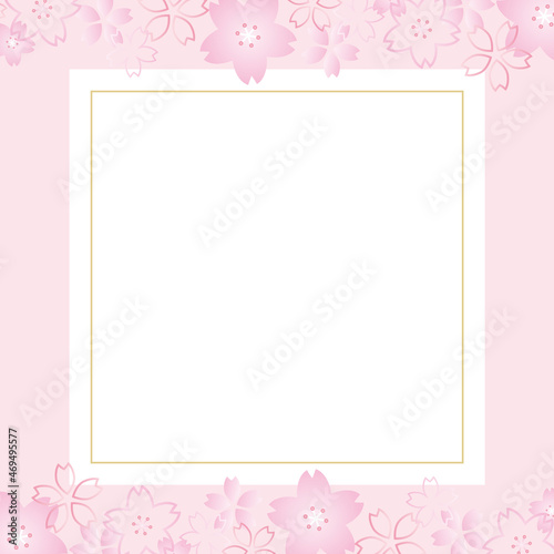 桜の正方形フレーム ／バナー／背景（ピンク　A） © mocori