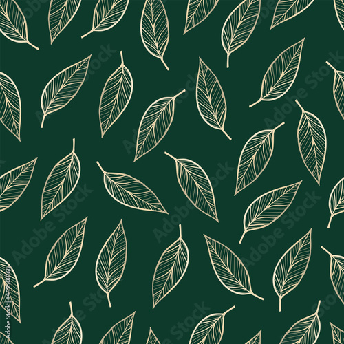 Luxury gold background pattern vector. Gold line art leaves on a dark background. Vector illustration