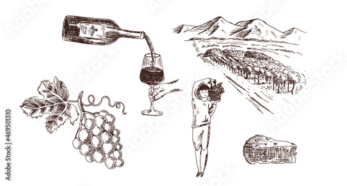 A landscape with a vineyard, wine in a glass and a bottle, a bunch of grapes, cheese, a man, a grape picker. Vector illustration, sketch.