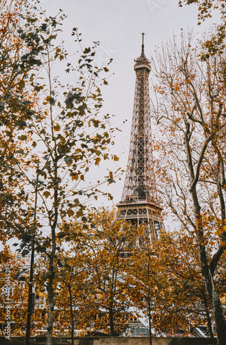 Eiffel Tower in autumn. Vertical photo © Andrei Kondrick