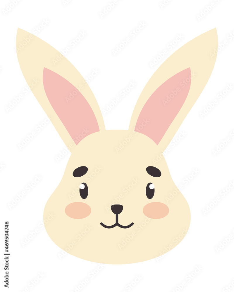 cute bunny face cute bunny face