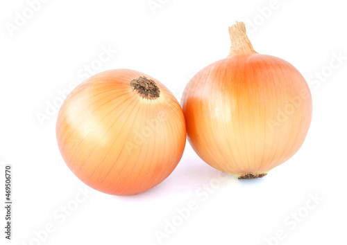 fresh onions isolated on a white background