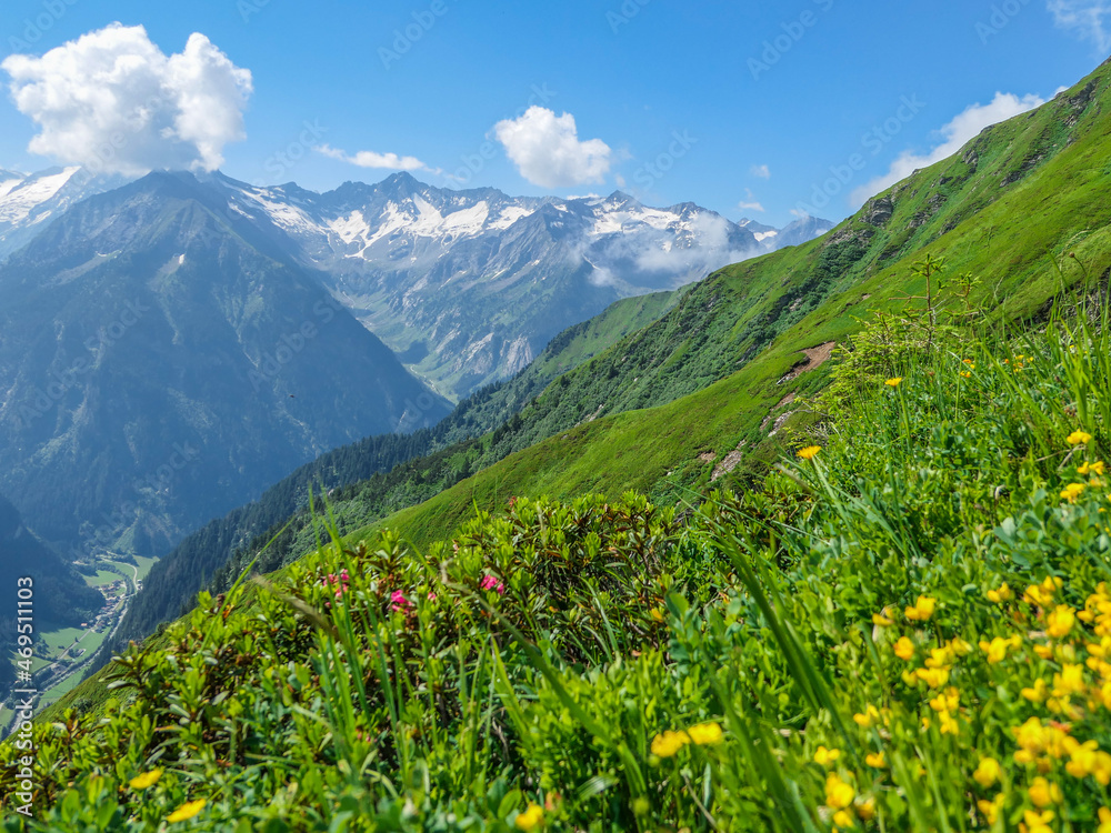 Zillertaler Alpen (Tirol) im Sommer