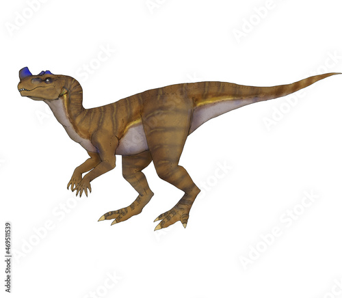 Realistic illustration of a dinosaur of the ceratosaurus species © lucamendieta