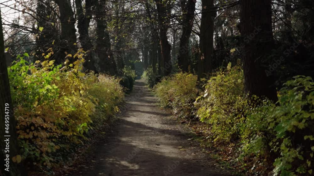 Footpath through trees and bushes on the cemetery Alter Luisenstadt Kirchhof in Berlin Footpath through trees and bushes on the cemetery Alter Luisenstadt Kirchhof in Berlin