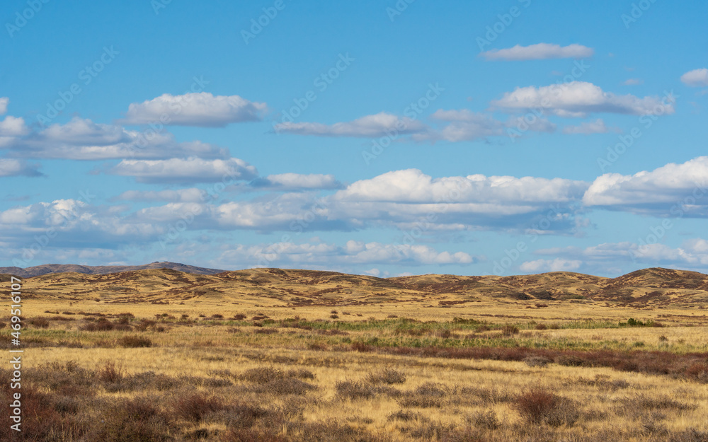 Golden steppes stretching to the horizon under a clear blue sky, highlighting the vast and open terrain of eastern Kazakhstan.
Golden steppes stretching to the horizon under a clear blue sky, highlighting the vast and open terrain of eastern Kazakhstan.