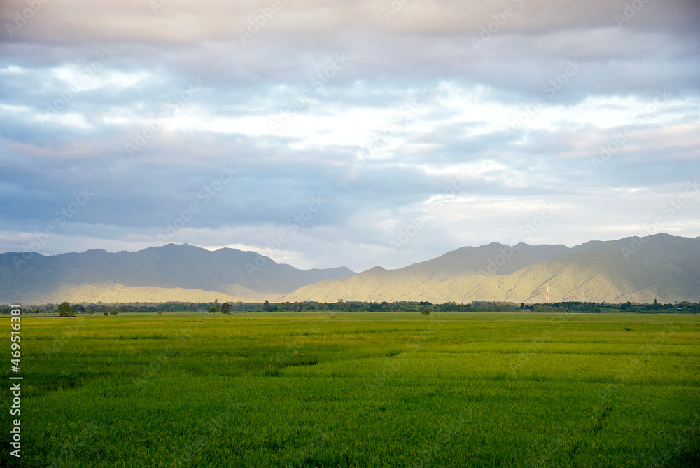 Fototapeta premium Green Rice Field with Mountains Background and cloudy sky : Thailand