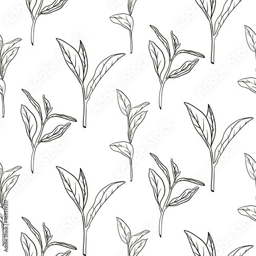 Hand drawn tea seamless pattern in graphic style  vector illustration.