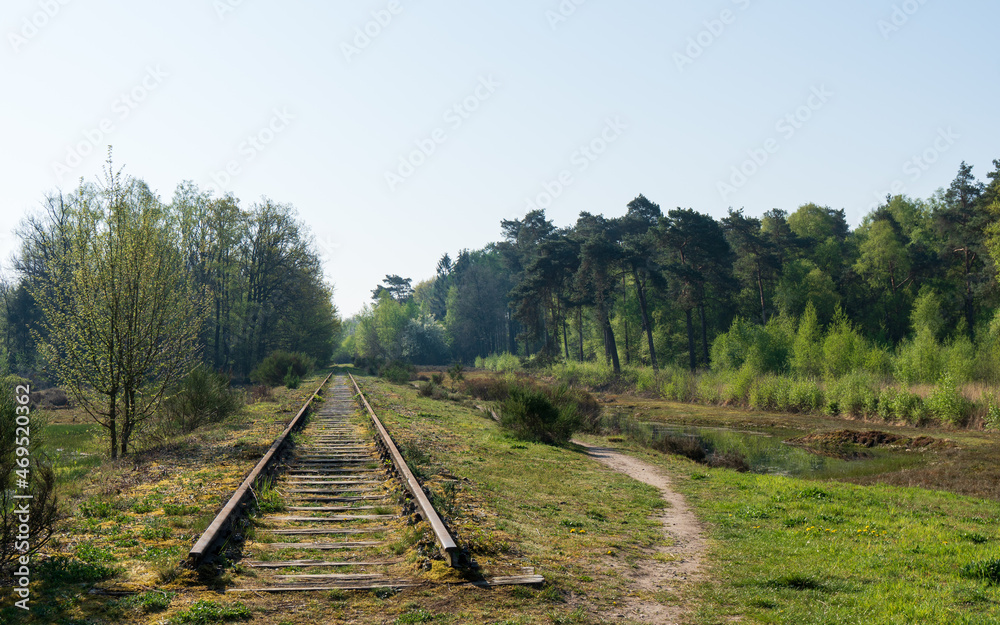 Obraz premium A railway track in Winterswijk, Netherlands, captured in April 2019, surrounded by lush greenery and trees, offering a serene and peaceful setting.