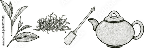 Tea collection elements in graphic style, hand-drawn vector illustration.