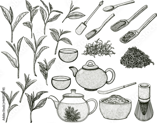 Tea collection elements in graphic style, hand-drawn vector illustration.